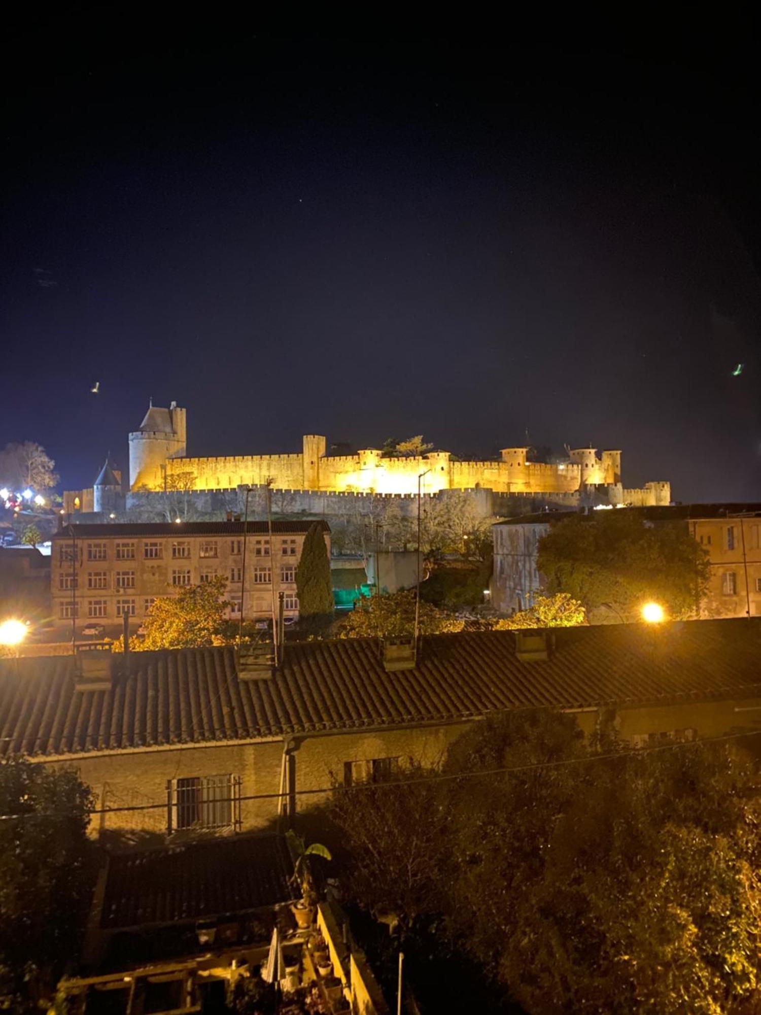 Maison Face A La Cite Carcassonne Dış mekan fotoğraf